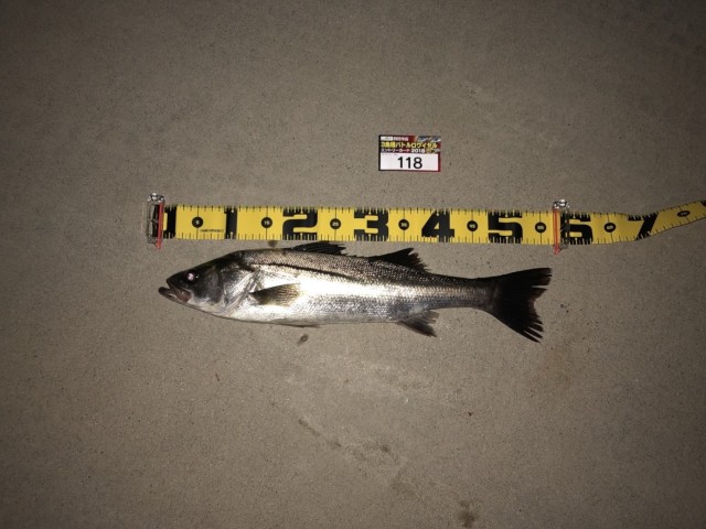 a98434a3-c327-46cc-96e2-521a436193cf