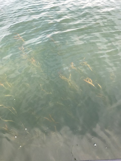 !cid_03FB91AB-977C-4849-B40E-36BBECBEC6DA