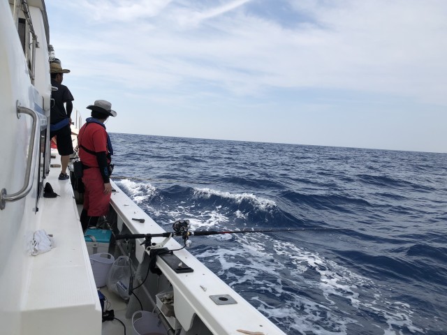 !cid_164dfebfb7db030dde81