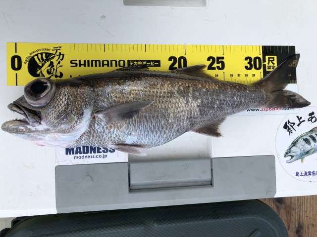 !cid_164dfec3d50dad971ec2