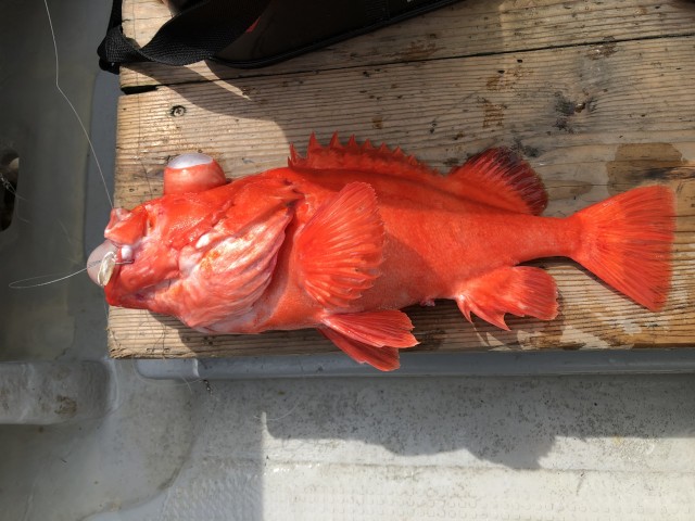 !cid_164dfecf04e247c70e554