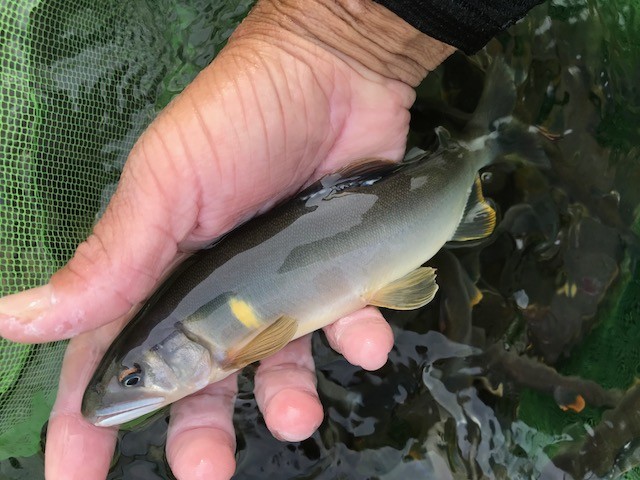 !cid_DF46FC1D-C71E-411C-B592-638E54615801