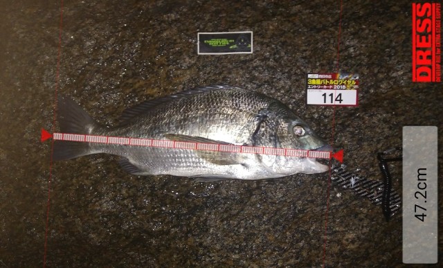 dress_24072018_202710