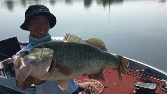 f745dfbe-d074-429d-8764-1513915e3a4c