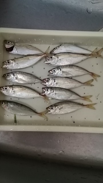 _storage_emulated_0_SilentCameraSoft_1531872958672