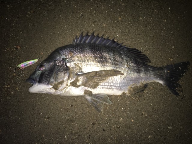 0bb88fab-77a3-486b-81ac-027c45ca9132