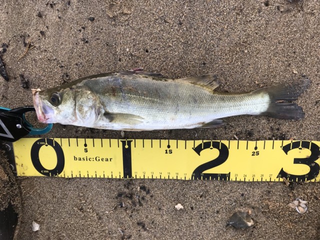 0e9e7354-83c8-4dc7-a358-bf7b777c3d0d