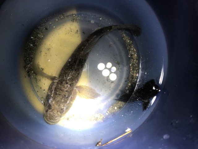 13279a17-dc8a-4cb9-8c88-2b71ee8d63e3