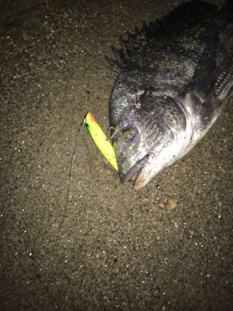 1c2690b5-3d77-4de0-8bab-9ec3b28776c3