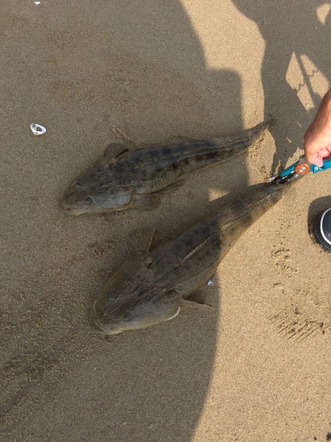 2e18a028-dc80-4f0a-b0e2-7f91f7737325