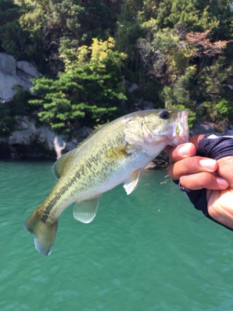 2f7c87c0-110c-477c-ae57-405b6c2eef1e