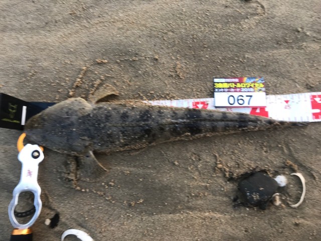 3b874358-bce3-4e0e-8a01-61e2424f6123