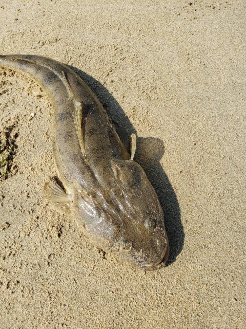 529ebf54-1605-4357-bc44-d64f92e99b11