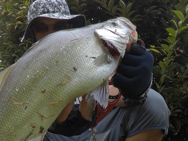 58644d33-475b-4f79-812e-db8079d9a940