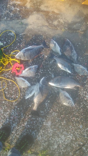 608a27f2-9c1a-4ad8-95c2-537d427a2909