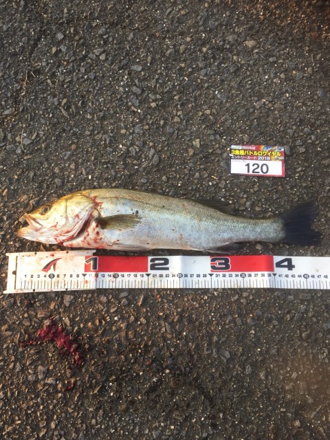 6bd48758-2300-4c56-a685-9b8f9095cf95