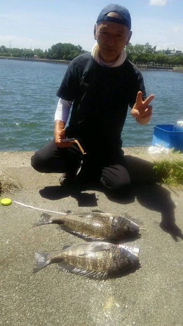 73d447ae-b8ec-4067-a96b-12b01313c57d