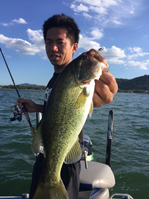 7e678541-b38f-41a4-b8b4-50a121281daf