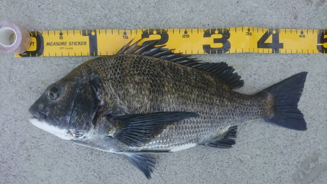 98576429-a298-4b3c-a45a-8966662afe9d