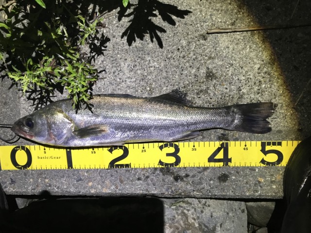 9f4a29dd-e34c-4733-8283-eadecc26096c