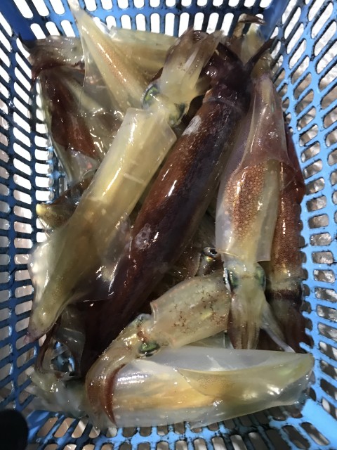 D6533506-FBF0-49A3-8359-FF5DFED61F4C