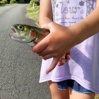 IMG_20180806_155139916_HDR