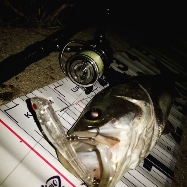 IMG_20180828_031607_731