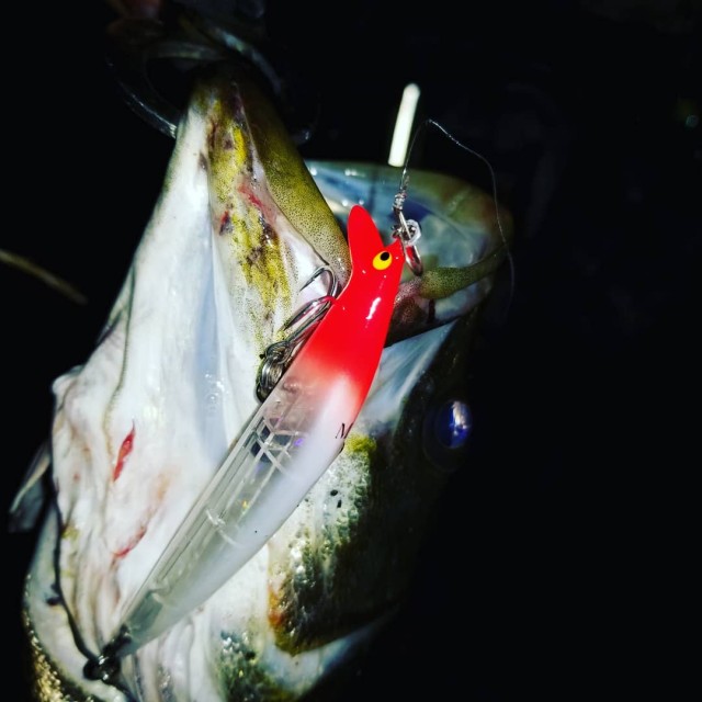 IMG_20180831_024602_859