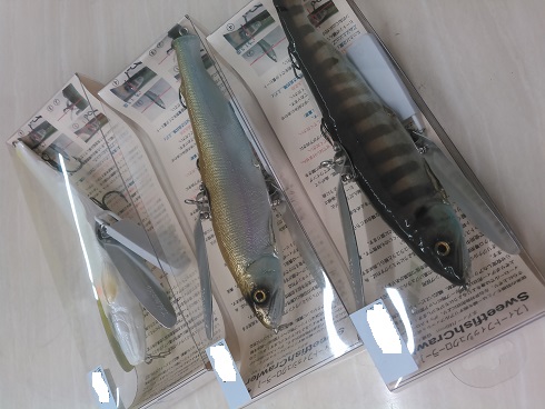 流行の羽物入荷しました！