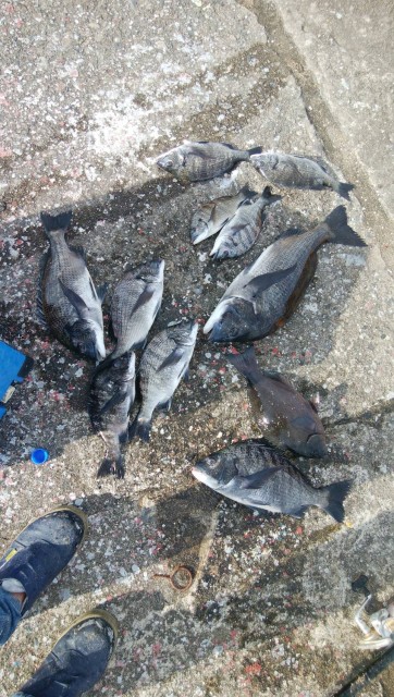 a0edeed0-619a-4a92-b568-665ffe931d1d