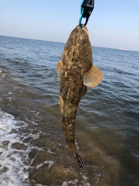 a348744a-f1a1-426a-a8ee-fe42ec3fbc3b