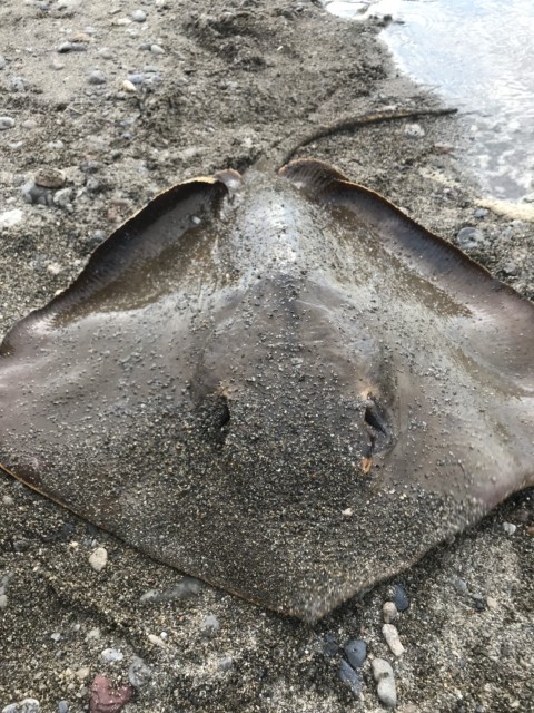 ac1412d8-9561-43df-be6d-dc7419199bb4