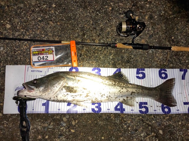 b0d9aea2-2421-48ca-b52c-c95bcb4dd7e4