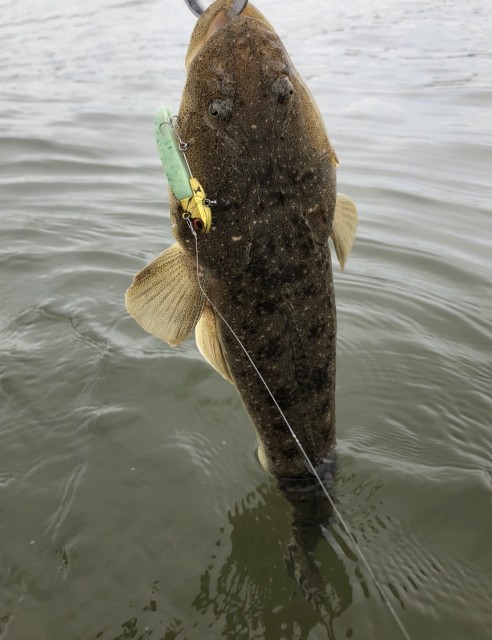 c3287176-2486-4c55-81ed-32422e1ed2c6