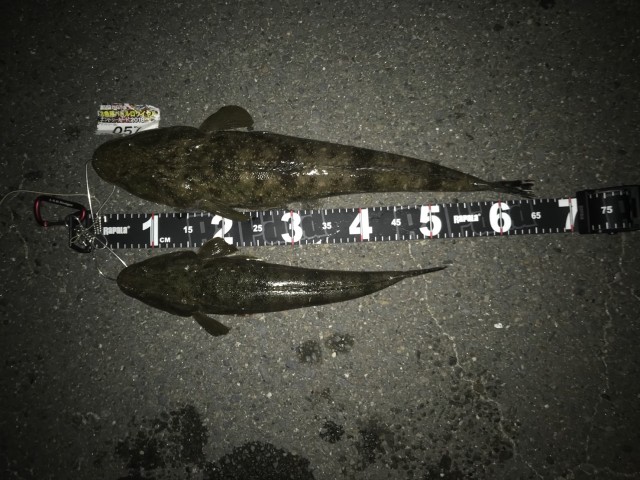 cc822b55-dced-4f8a-b8b1-c61731311485