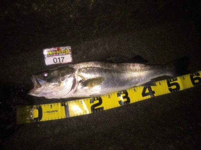 ccc75e7e-a433-4947-81ac-ee6eb8066dc6