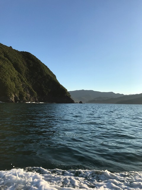 !cid_015C5414-1017-49B8-9770-809166869263