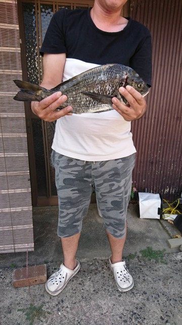 d2ec623e-e252-4092-a72d-8282c2a7baf7