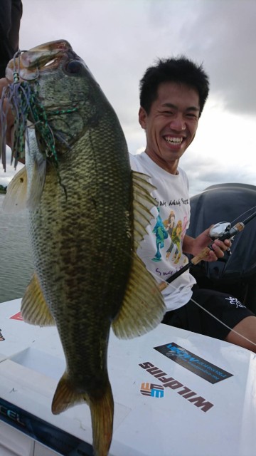 d41ae154-7031-4783-a7b3-3a1704b84777