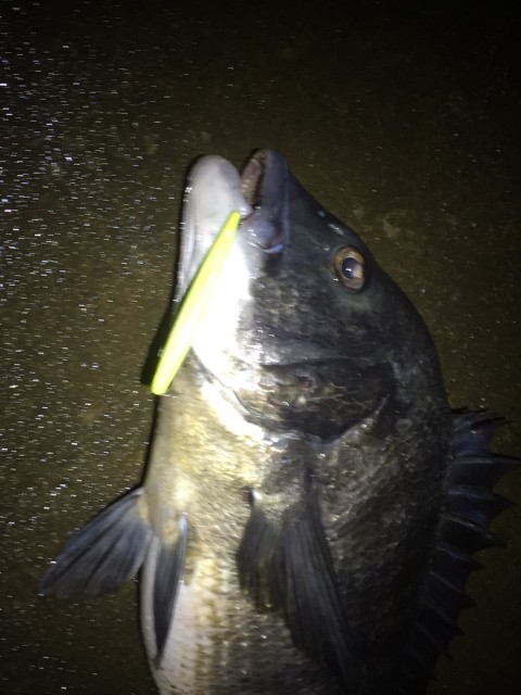 dbd3e52b-6b91-4f31-aec0-2b2af75566b9