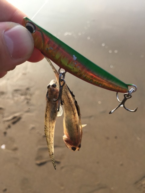 e178291a-6cf6-4027-b9fb-29fa35de0244