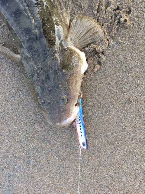 e9cab273-726e-4ceb-affc-7be1ed053e5d