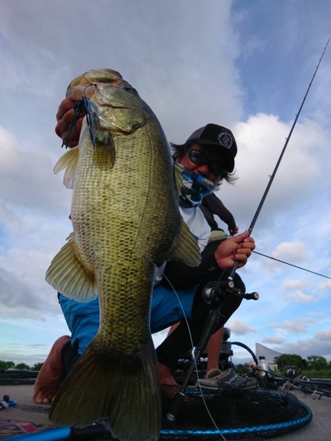 ebd3f800-7b32-4379-a4f3-7abd4300e63c