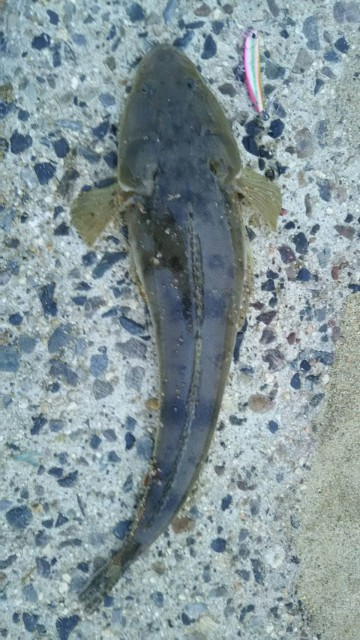 eec08bd2-260d-43e6-acc5-fd416856735b