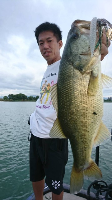 f2e064c0-8a4d-474c-9773-812ac2b2ee1e