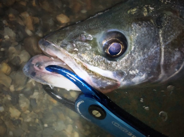 fbda0f72-501f-4e39-b8f6-dee0739827ac