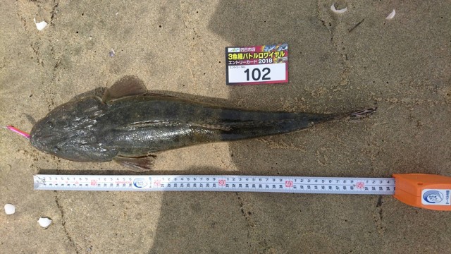 fd360cc0-55c6-41a2-a648-36ac2621765a