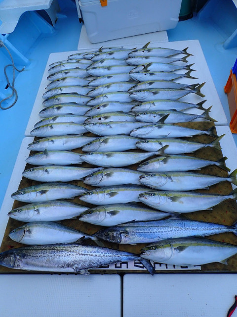 o0600080014254771873