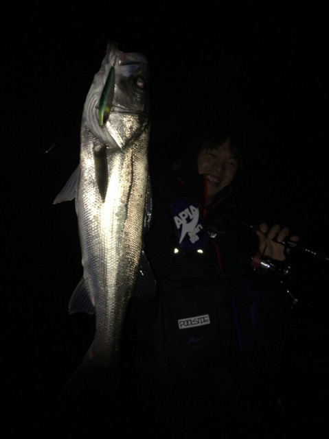 o0719096013795699101