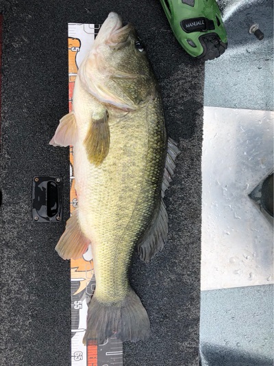 o0810108014242870887